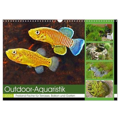 Outdoor-Aquaristik (Wandkalender 2026 DIN A3 quer), CALVENDO Monatskalender