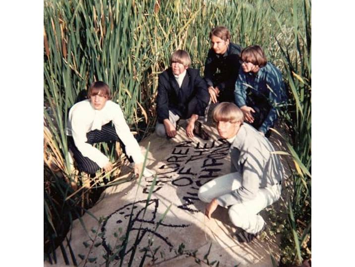 Children Of The Mushroom