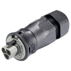 Wieland Electric 96.032.4554.3 Steckverbinder