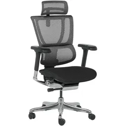 Ergohuman IOO ELITE 2 Ergonomischer Bürostuhl – Schwarz