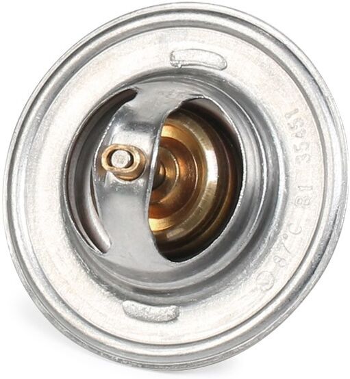 Borsehung B13140 Thermostat