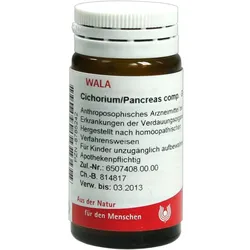 Cichorium/Pancreas Comp 20 G