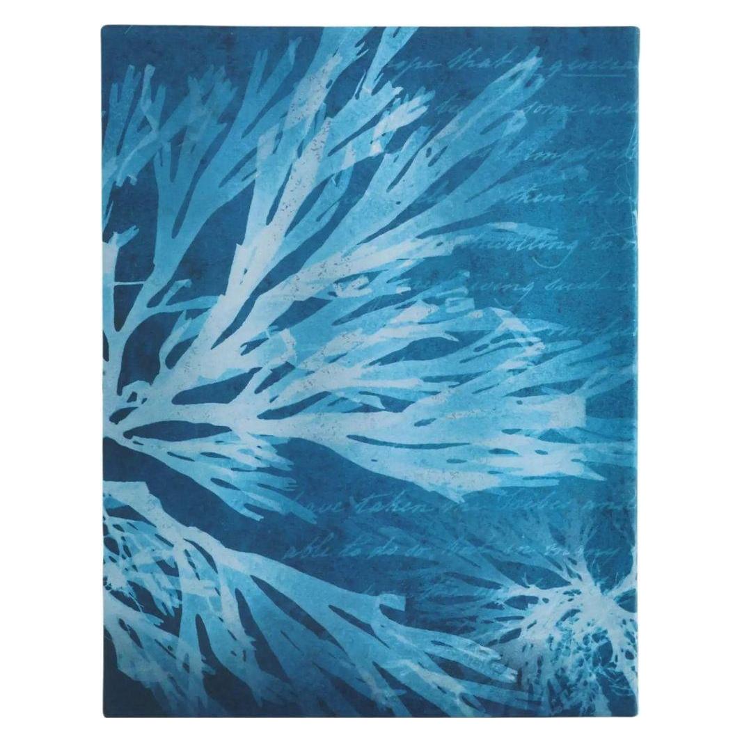 Paperblanks Notizbuch Softcover Meeresblumen Ultra Liniert (A5, Liniert, Weicher Einband) (FB1365-6)