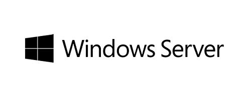 Fujitsu Windows Server 2019 CAL S26361-F2567-L665