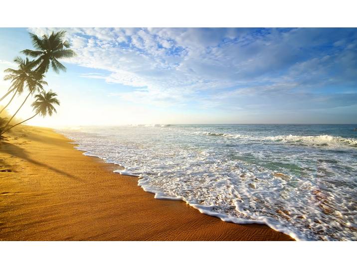 Fototapete PAPERMOON Palm Beach Sri Lanka , bunt, B:3m L:2,23m, Vlies, Tapeten, Fototapete