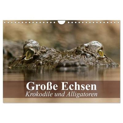 Große Echsen. Krokodile und Alligatoren (Wandkalender 2026 DIN A4 quer), CALVENDO Monatskalender