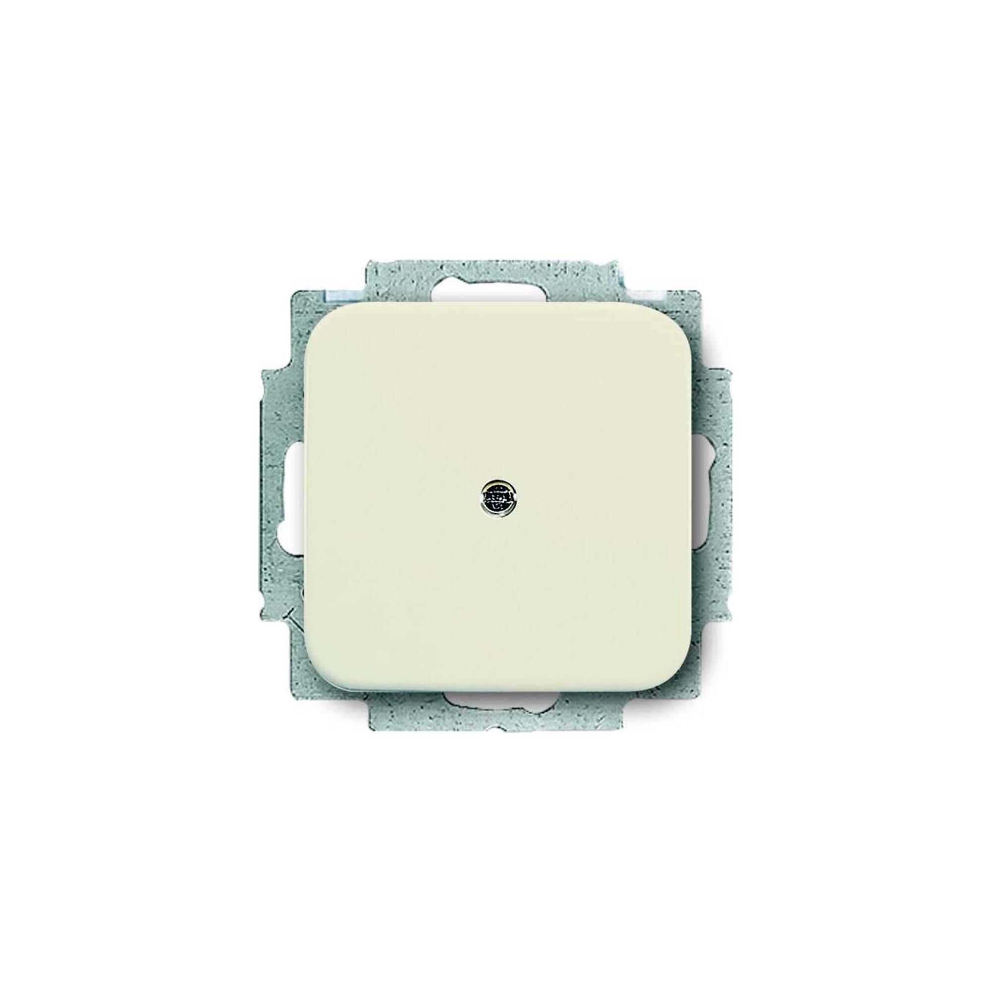 Busch-Jaeger 2538-212 Blindzentralscheibe ws mit Tragring für Schalter und Steckdosen, 2CKA001715A0218)