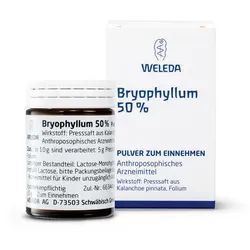 BRYOPHYLLUM 50% Pulver zum Einnehmen 50 g