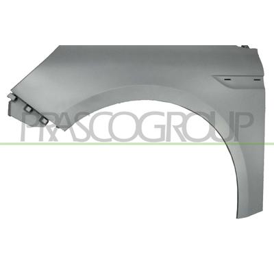 PRASCO Kotflügel RN4303004 vorne links für RENAULT
