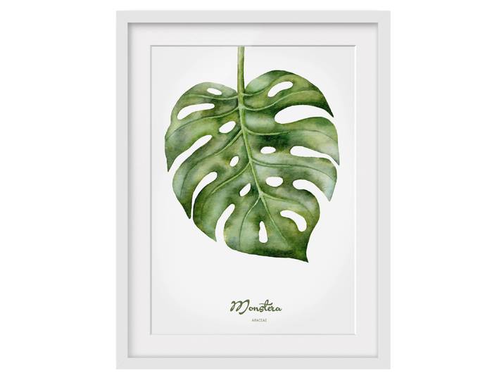 Bild Aquarell Botanik Monstera II Teilmassivholz Kiefer, matt lackiert Grün 50 x 70cm