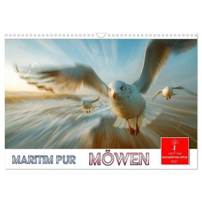 Maritim pur - Möwen (Wandkalender 2027 DIN A3 quer), CALVENDO Monatskalender