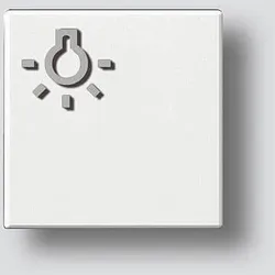 Siedle&Söhne Licht-Taste ws-hgl mit Lichtsymbol 200029977-00