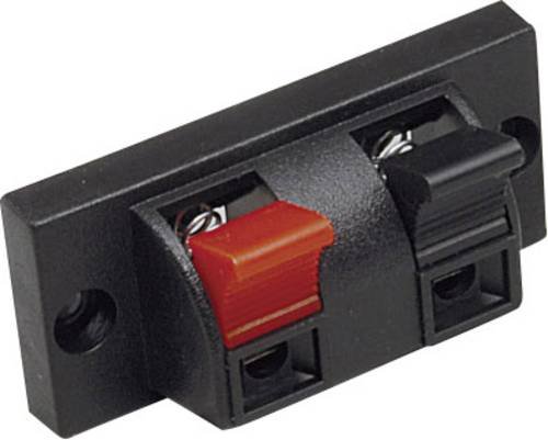 BKL Electronic 0205025 Lautsprecher-Steckverbinder Buchse, Einbau vertikal Polzahl: 2 Schwarz