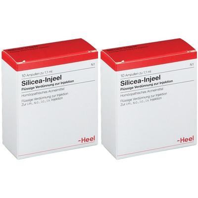 Silicea Injeel Ampullen 2x 2x10 St