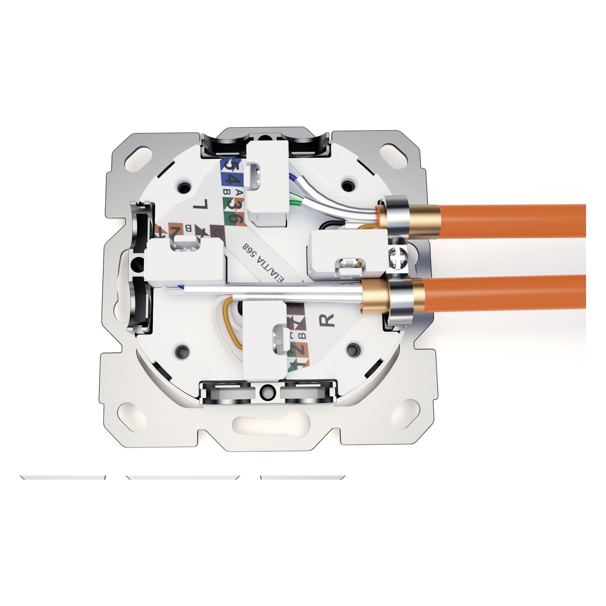 Digitus Netzwerkdose (DN-9010/8-2)