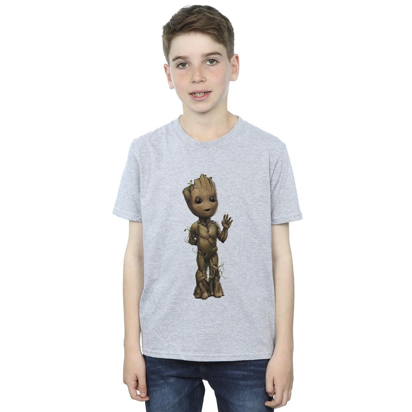 Marvel Jongens Ik Ben Groot Golf Positie T-Shirt (Sportgrijs)