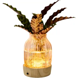 Tchibo - Wasserpflanze im Glas mit LED »Calathea« - grün