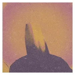 Cargo, Schallplatten, What Came From Silence (Vinyl) (Hanry)