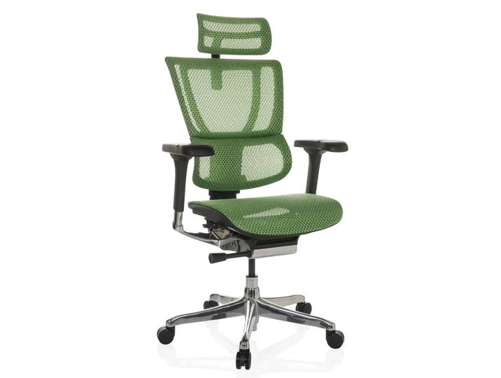 ERGOHUMAN SLIM GEN2 Netz - Luxus Chefsessel Grün