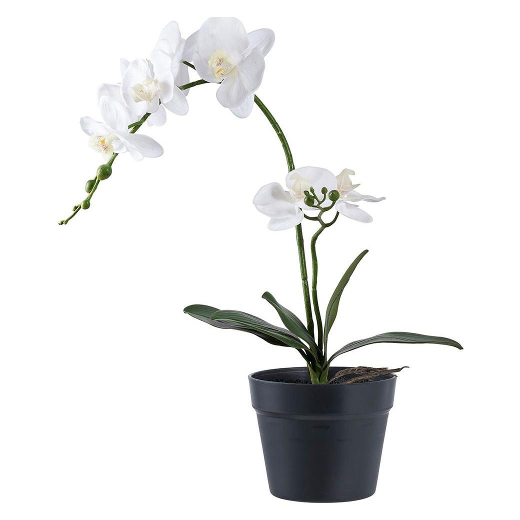House Nordic Orchid (47 cm) (46-9501003)