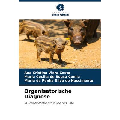 Organisatorische Diagnose, Taschenbuch von Ana Cristina Viera Costa,Maria Cecilia de Sousa Cunha,Maria da Penha Silva do Nascimento, Verlag Unser