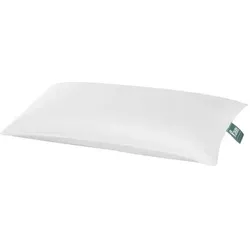 f.a.n. Frankenstolz Kopfkissen Daune Alaska Soft 40x80 cm
