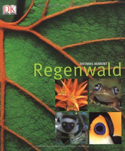 Ben Morgan - Regenwald - Preis vom 30.09.2026 09:01:18 h