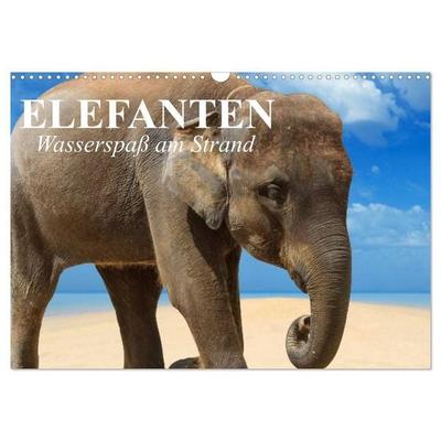 Elefanten - Wasserspaß am Strand (Wandkalender 2027 DIN A3 quer), CALVENDO Monatskalender