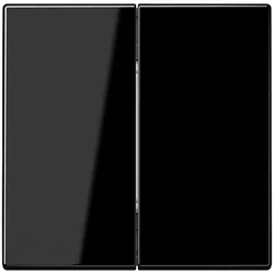Jung Funk-Wandsender BLE LS 995 SW