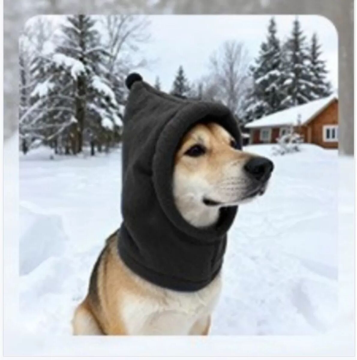INF Polarfleece Hunde-Beruhigungshaube - Wintermütze & Lärmschutz L Schwarz