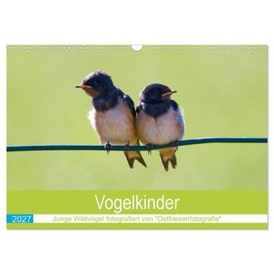 Vogelkinder - Junge Wildvögel (Wandkalender 2027 DIN A3 quer), CALVENDO Monatskalender