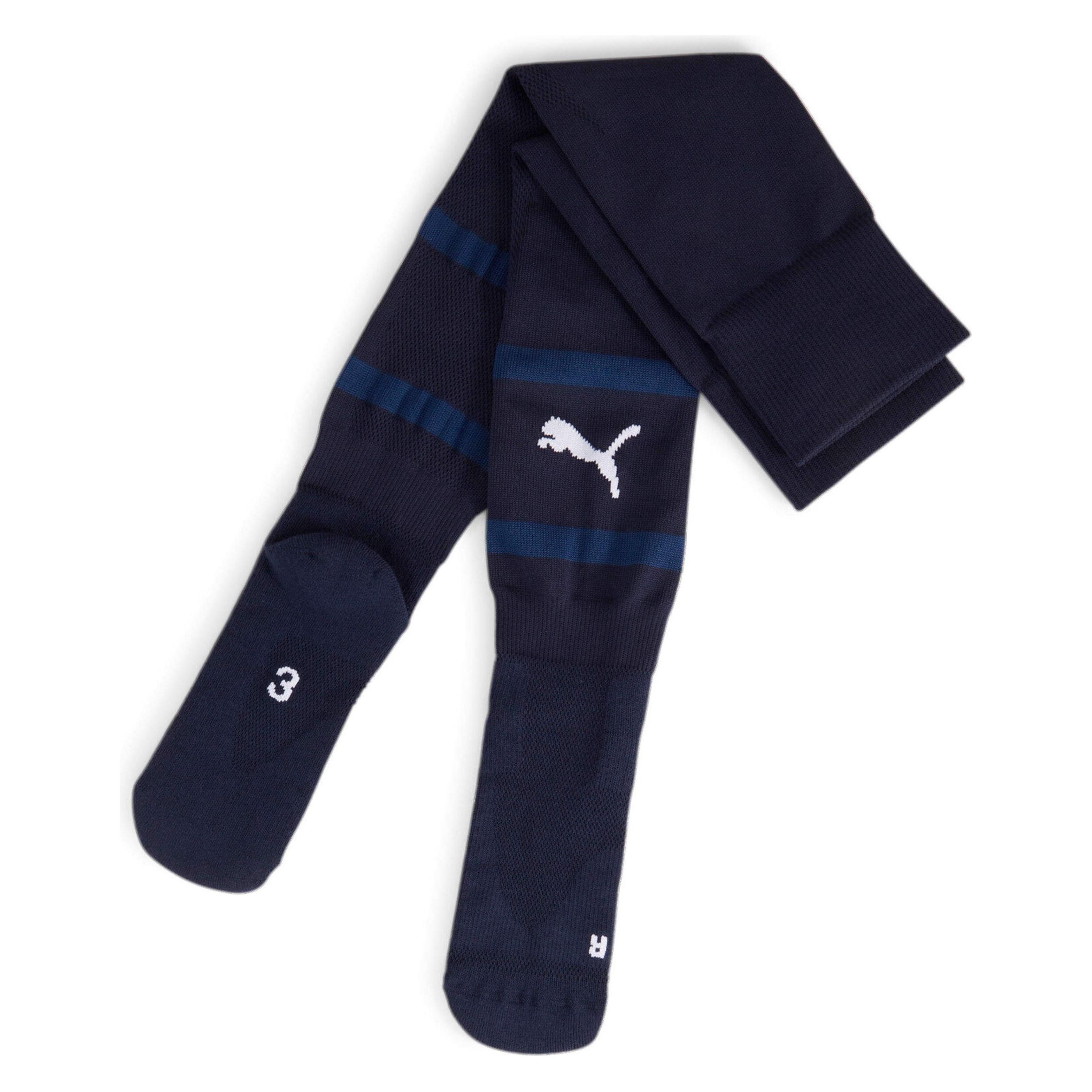Puma teamFINAL Socks (S) (705746_06)