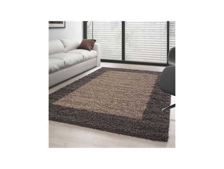 TapisTrend Tapis Shaggy Taupe-Mocca 240 x 340 cm pile longue designe bordure couleurs et tailles au choix