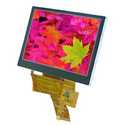 Display Elektronik Grafik-Display Weiß 480 x 272 Pixel (B x H x T) 105.50 x 67.20 x 4.6 mm EATFT043-42ATS