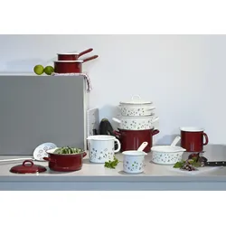 Riess 0039-135 Schnabeltopf m.Stiel 10cm, 0.75L