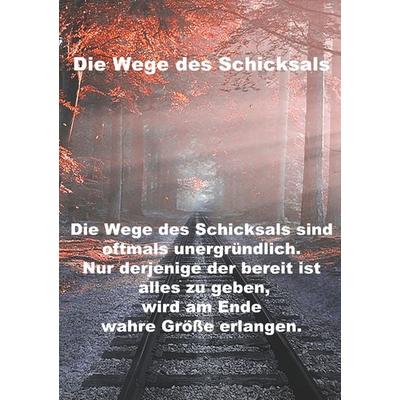 Wege des Schicksals, Taschenbuch von Sara Nöst, BoD – Books on Demand, 978-3-7504-0827-2