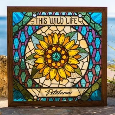 Petaluma - This Wild Life, Vinyl