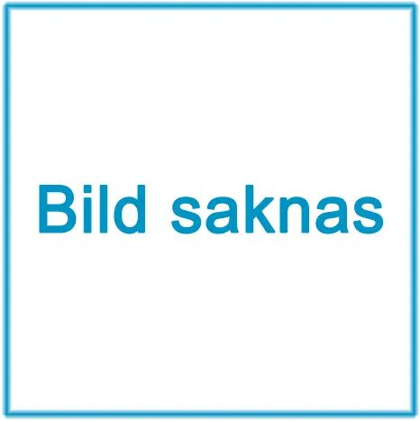 Billaddare för batteri till kontrollenhet, 12 V och 24 V