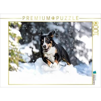 CALVENDO Puzzle Appenzeller Power | 1000 Teile Lege-Größe 64x48cm Foto-Puzzle für glückliche Stunden