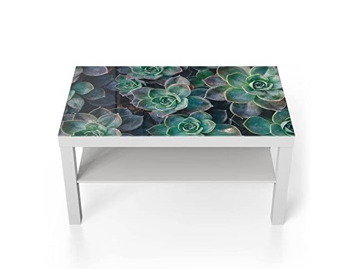DEQORI Glastisch weiß groß 90x50 cm Motiv Sukkulente Pflanzen ausgefallener Beistelltisch aus Glas Hochglanz Couchtisch fürs Wohnzimmer moderner Couch Tisch mit Design