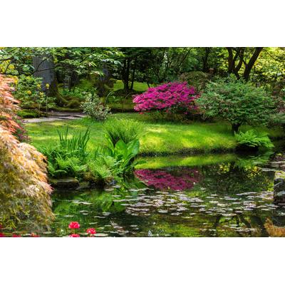 Papermoon "GARTEN-BLUMEN BÄUME PFLANZEN STEINE WALD PARK BLÜTEN"