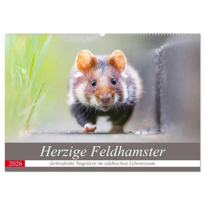 Herzige Feldhamster - farbenfrohe Nagetiere im städtischen Lebensraum (Wandkalender 2026 DIN A2 quer), CALVENDO Monatskalender