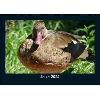 Enten 2025 Fotokalender DIN A5