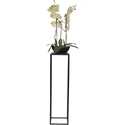 möbel direkt online Blumenständer Deinhard schwarz