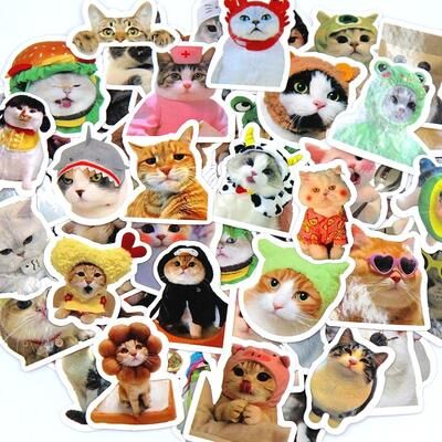 Inspire Select MeowMix Cute Cat Sticker Pack Waterproof Cartoon Vinyl Decals 23 In For Laptop, Phone & DIY Decor 10 Pcs