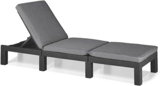 Famanu Liegestuhl für Garten, Terrasse und Balkon - Verstellbare Kopfstütze, Grau mit Kissen