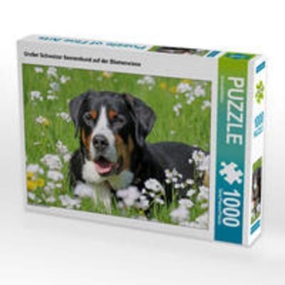 CALVENDO Puzzle Großer Schweizer Sennenhund auf der Blumenwiese 1000 Teile Lege-Größe 64 x 48 cm Foto-Puzzle Bild von SchnelleWelten