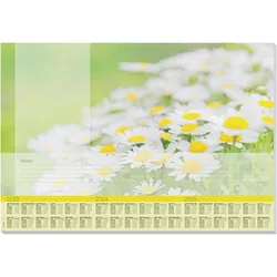 Sigel, Unterlage, Schreibtischunterlage Lovely Daisies grün/weiss 30 Blatt (41 x 59.50 cm)