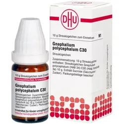 GNAPHALIUM POLYCEPHALUM C 30 Globuli 10 g
