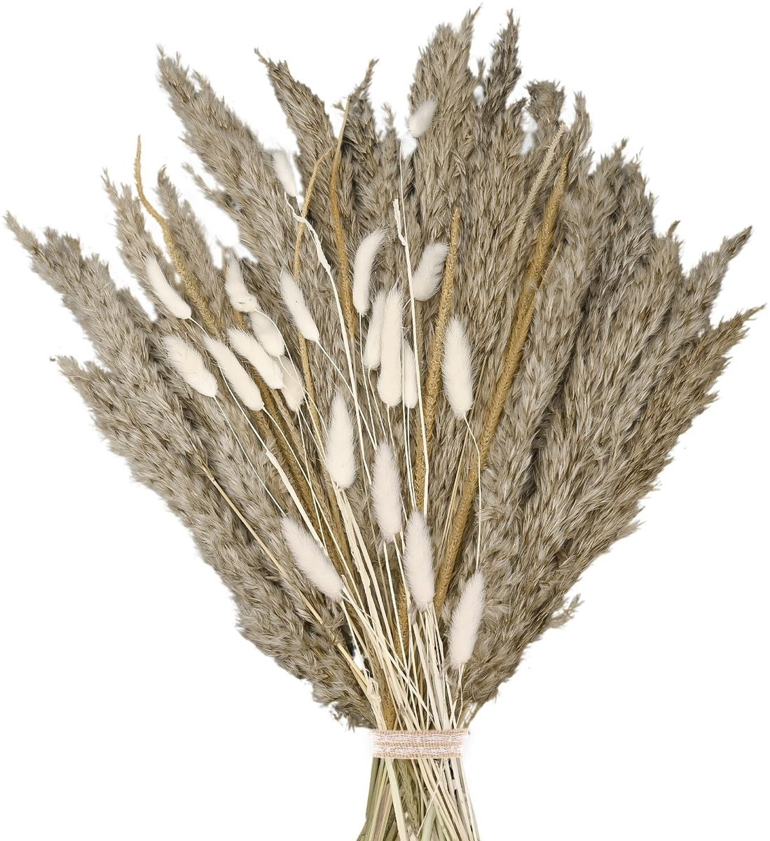 Dailygoods Gedroogd Boho Boeket met Pampasgras en Konijnenstaarten